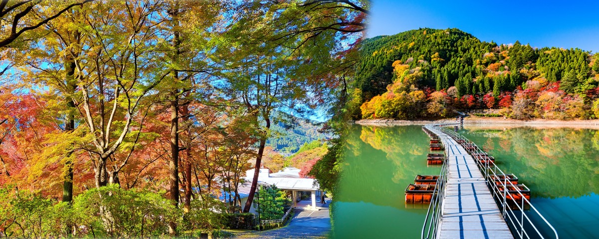 奥多摩園